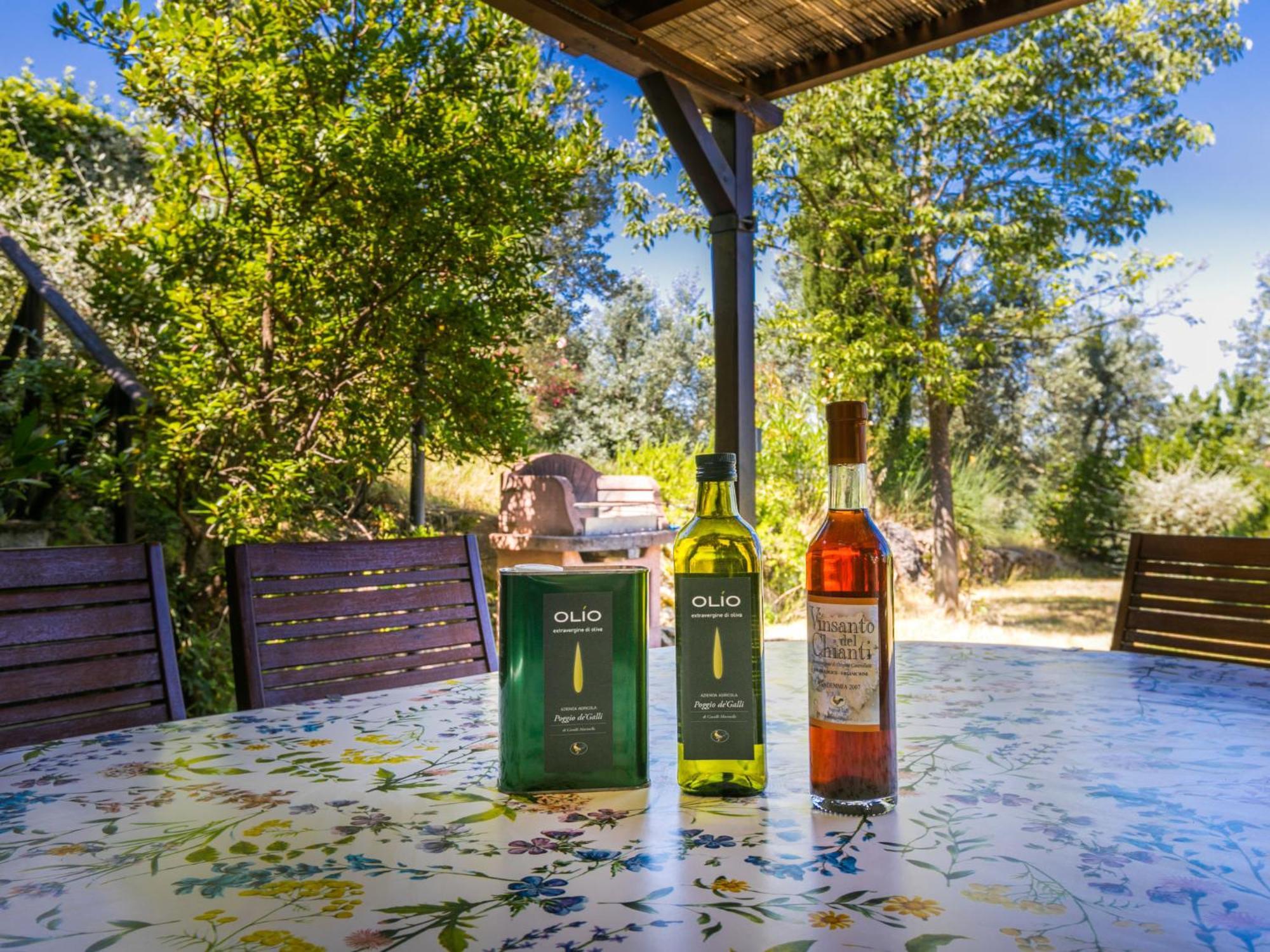 Holiday Home Poggio De'Galli By Interhome Pozzolatico Exterior photo